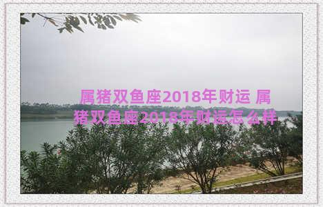 属猪双鱼座2018年财运 属猪双鱼座2018年财运怎么样